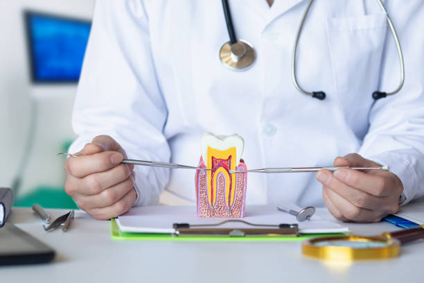 Best Mobile Emergency Dentist in Notre Dame, IN